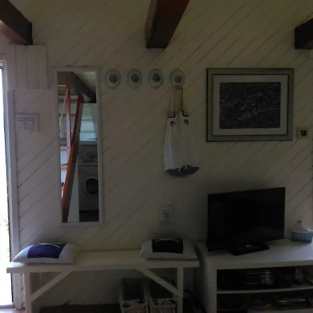 Apartman Tomo *